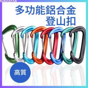 鋁合金 D型登山扣 背包掛鉤 快掛扣 戶外吊床帳篷掛鉤 露營掛勾
